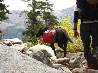 Peter and Jacob with their trail dog heading towards South Echo Summit on the combined PCT TYT trail.