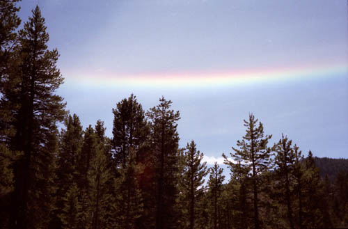 Closeup of flat rainbow from the Silver King River in the East Carson River.