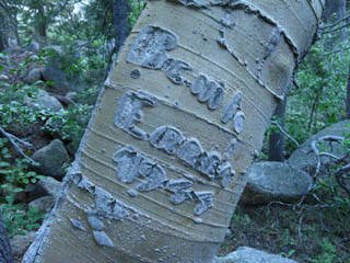 Benito Errea Tree Blaze, 1944, East Carson River Trail.
