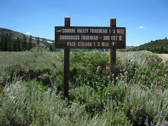 Corral Valley Trailhead at Rodriquez Flat.