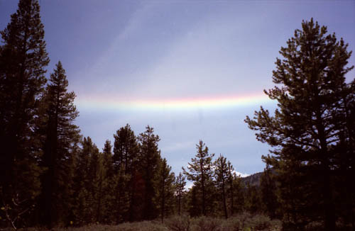 Flat rainbow in the Carson Iceberg Wilderness above the East Carson River.