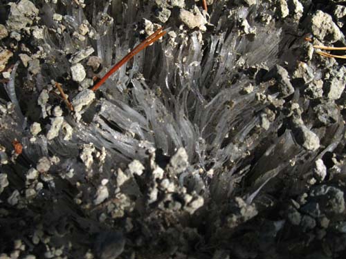 Two inches of ice crystals lifting and cleaning the trail.