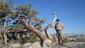 balzaccom's picture